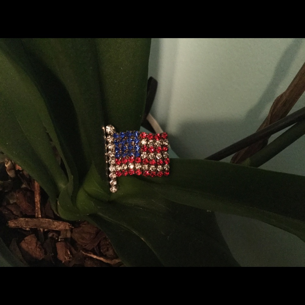 Patriotic Rhinestone 🇺🇸 Brooch - Picture 6 of 6